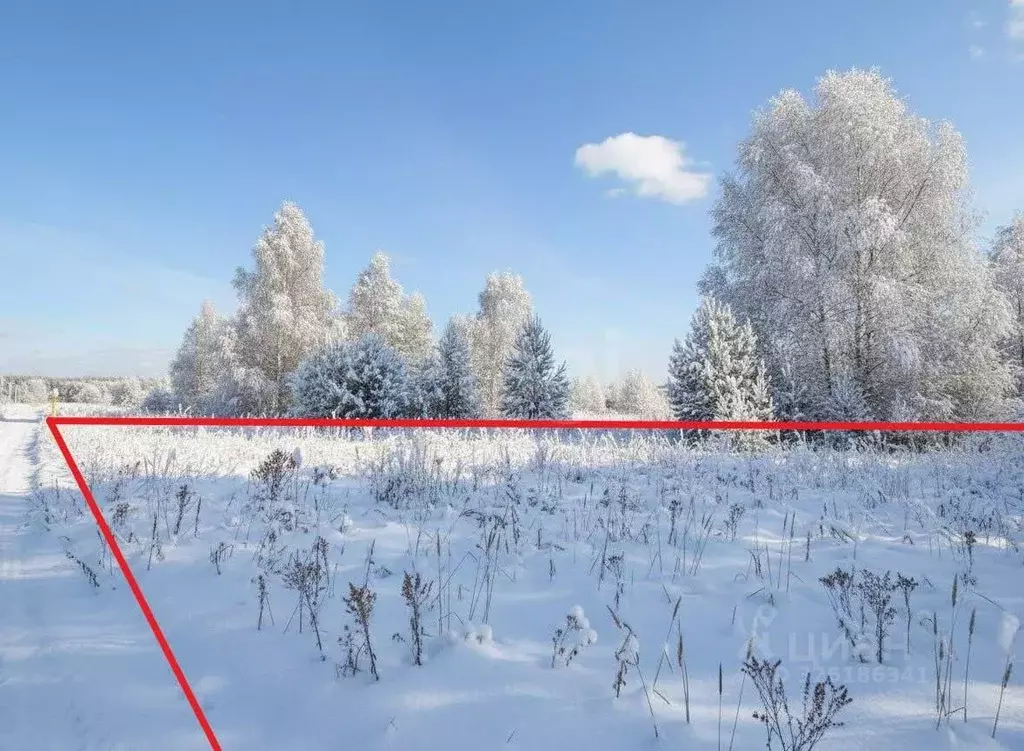 Участок в Владимирская область, Ковров ул. Радужная (9.57 сот.) - Фото 1