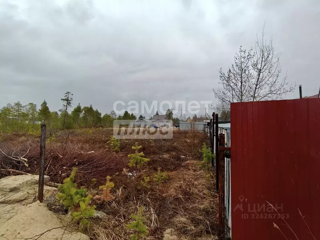 Участок в Ханты-Мансийский АО, Когалым Садовод 1 СОНТ,  (10.0 сот.) - Фото 2