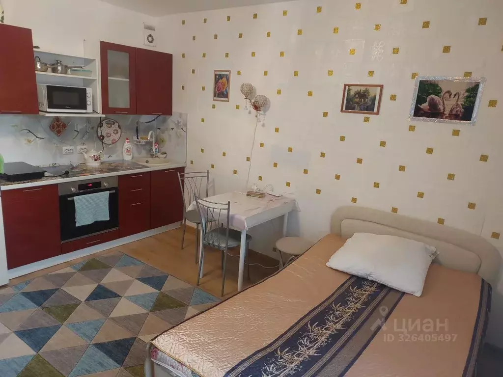 1-к кв. Санкт-Петербург пос. Песочный, Садовая ул., 88 (24.7 м) - Фото 2