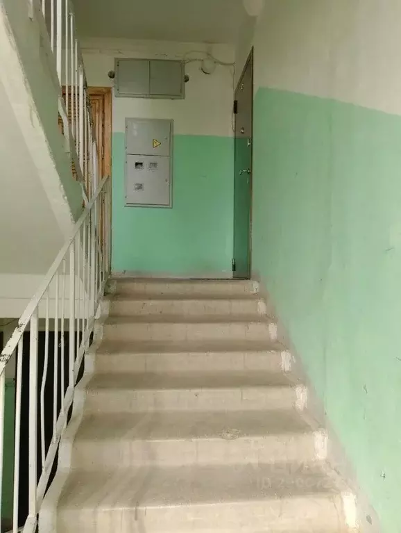 Комната Ленинградская область, Гатчинский муниципальный округ, д. ... - Фото 2