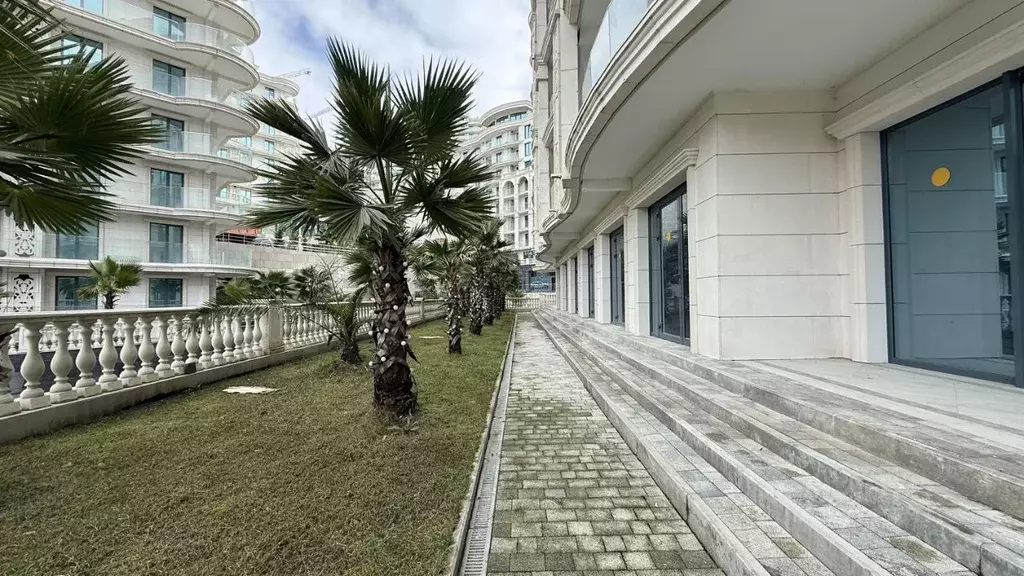 Помещение свободного назначения в Краснодарский край, Сочи ул. ... - Фото 1