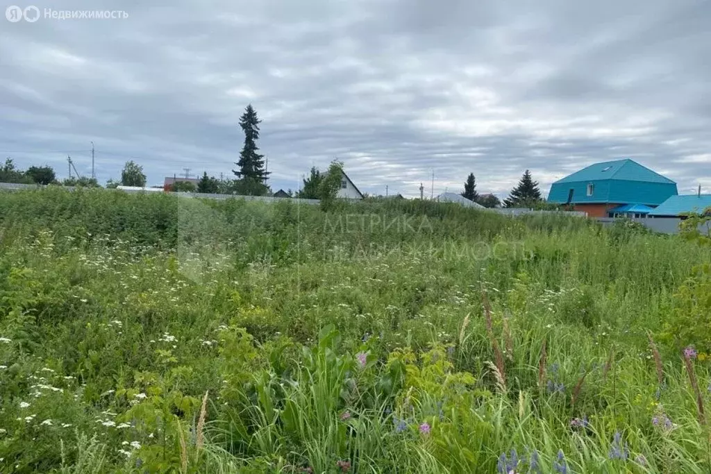 Участок в Усть-Ницинское сельское поселение (10.3 м) - Фото 2