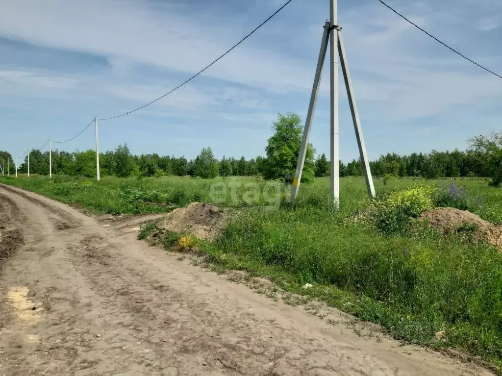 Купить Участок В Новой Усмани Воронежской