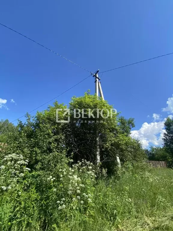 Участок в Костромская область, Костромской район, Апраксинское с/пос, ... - Фото 2