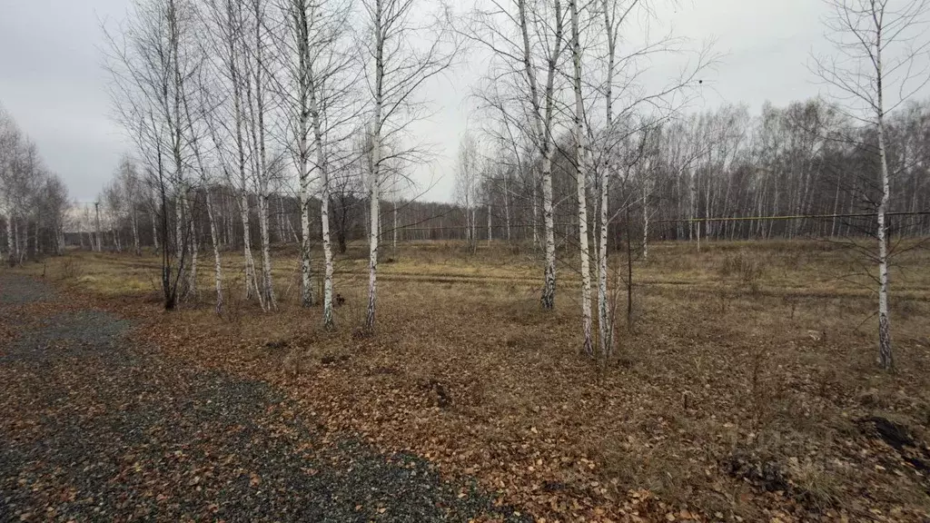 Участок в Челябинская область, Аргаяшский муниципальный округ, д. ... - Фото 1