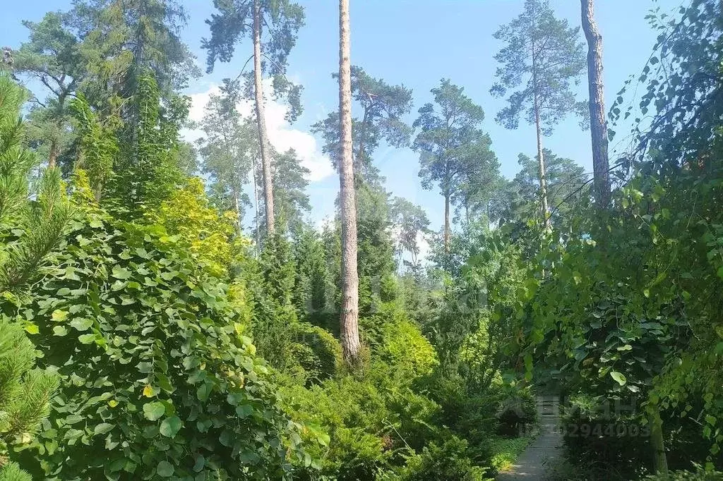 Участок в Московская область, Одинцовский городской округ, пос. ... - Фото 0