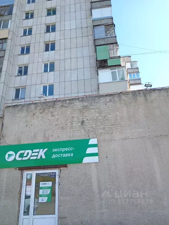 Помещение свободного назначения в Курганская область, Курган ул. ... - Фото 1