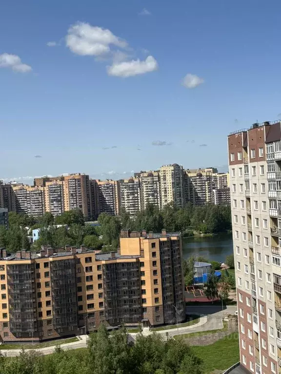 Студия Ленинградская область, Всеволожский район, д. Новое Девяткино ... - Фото 1