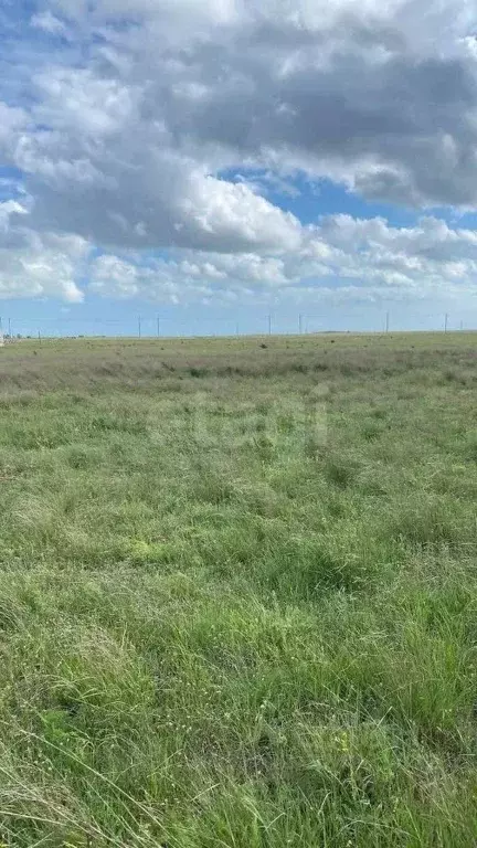 Участок в Крым, Сакский район, Молочненское с/пос, с. Абрикосовка  ... - Фото 0