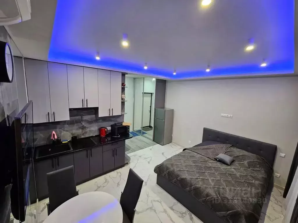 Студия Краснодарский край, Сочи ул. Ленина, 300А/1к1 (25.0 м) - Фото 0