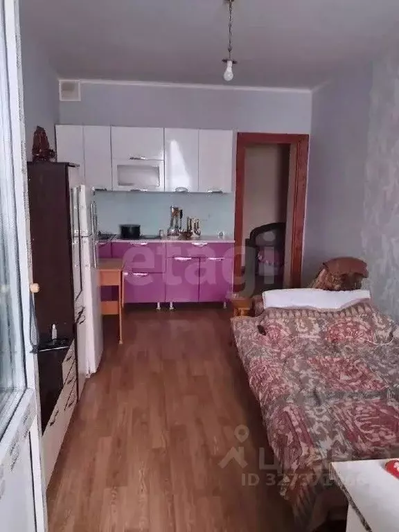 Студия Алтай, Майминский район, с. Майма ул. М. Глухарева (24.0 м) - Фото 1