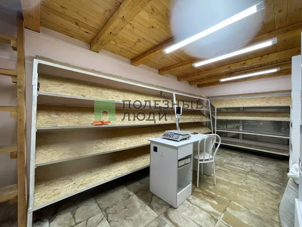 Помещение свободного назначения в Томская область, Томск Енисейская ... - Фото 1