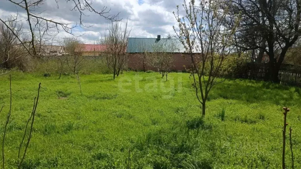 Участок в Краснодарский край, Щербиновский район, Новощербиновская ... - Фото 2