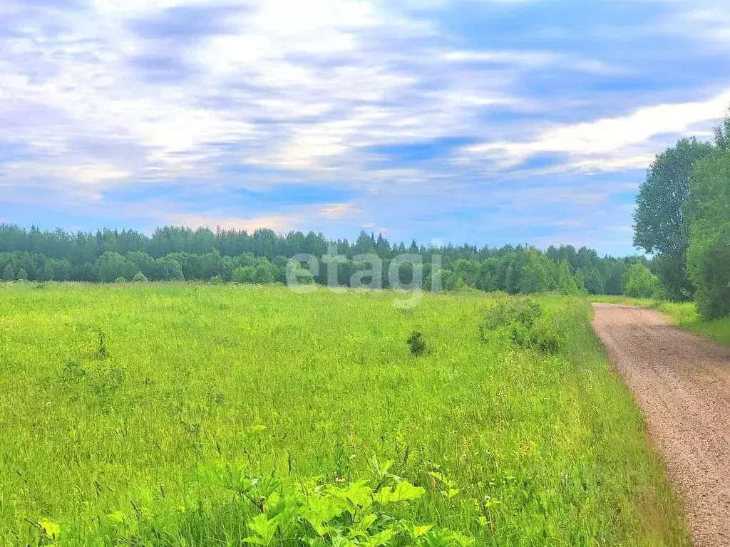 Участок в Коми, Сыктывдинский район, с. Выльгорт  (5200.0 сот.) - Фото 2
