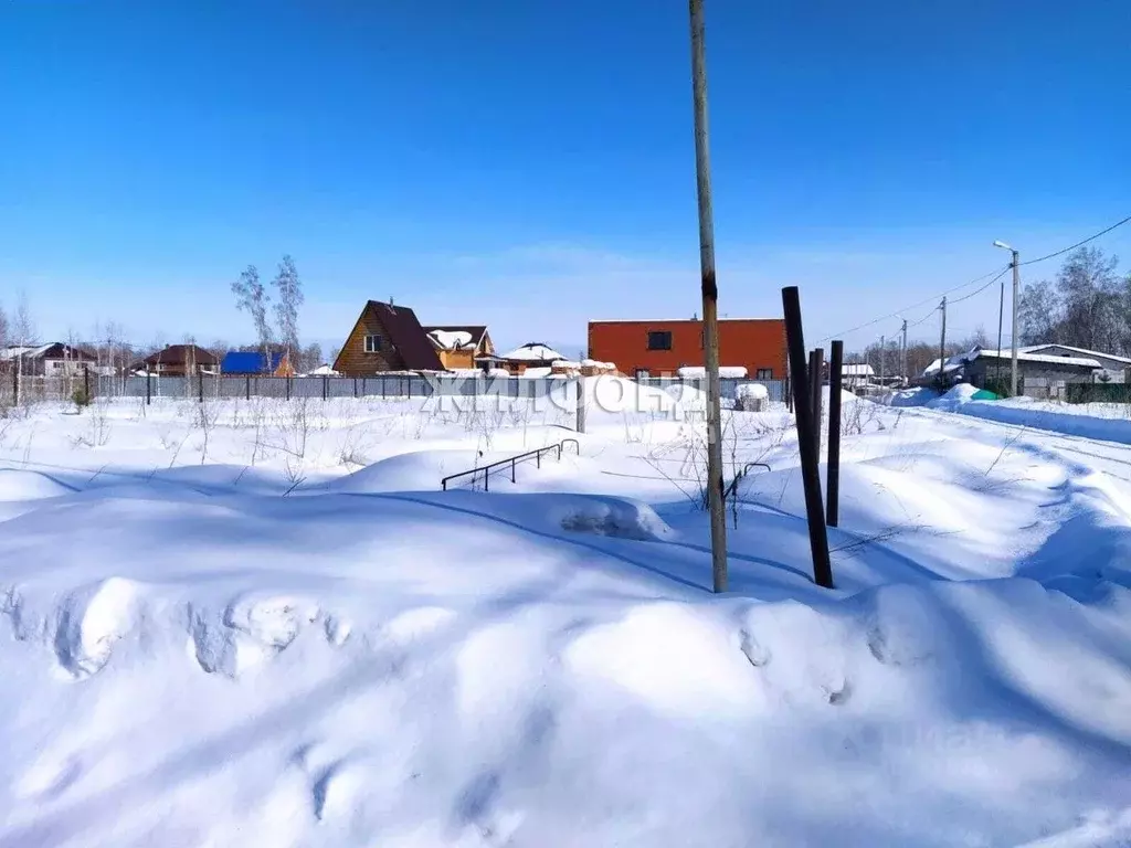 1 участок ленинского новосибирск. 1 участок ленинского новосибирск. 1 участок ленинского новосибирск. 1 участок ленинского новосибирск. Ленинское новосибирская область.