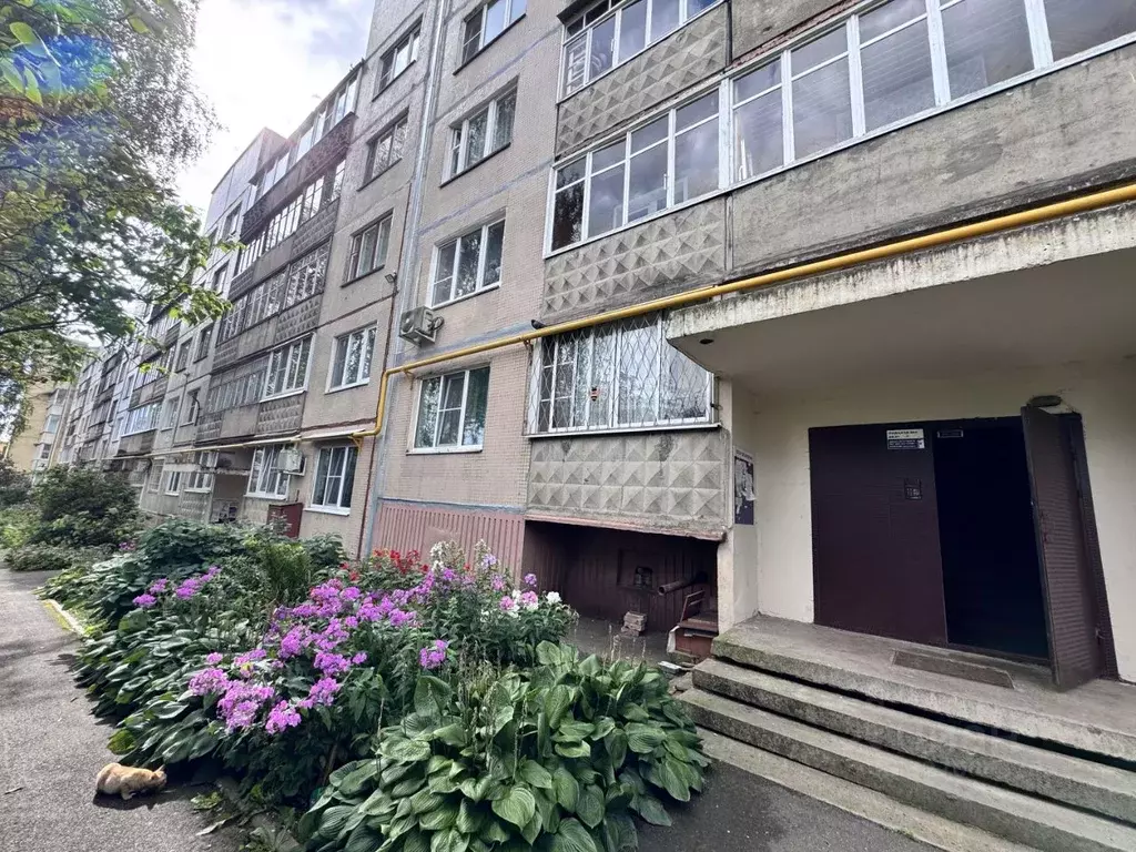 3-к кв. Псковская область, Великие Луки ул. Энгельса, 19 (70.7 м) - Фото 1