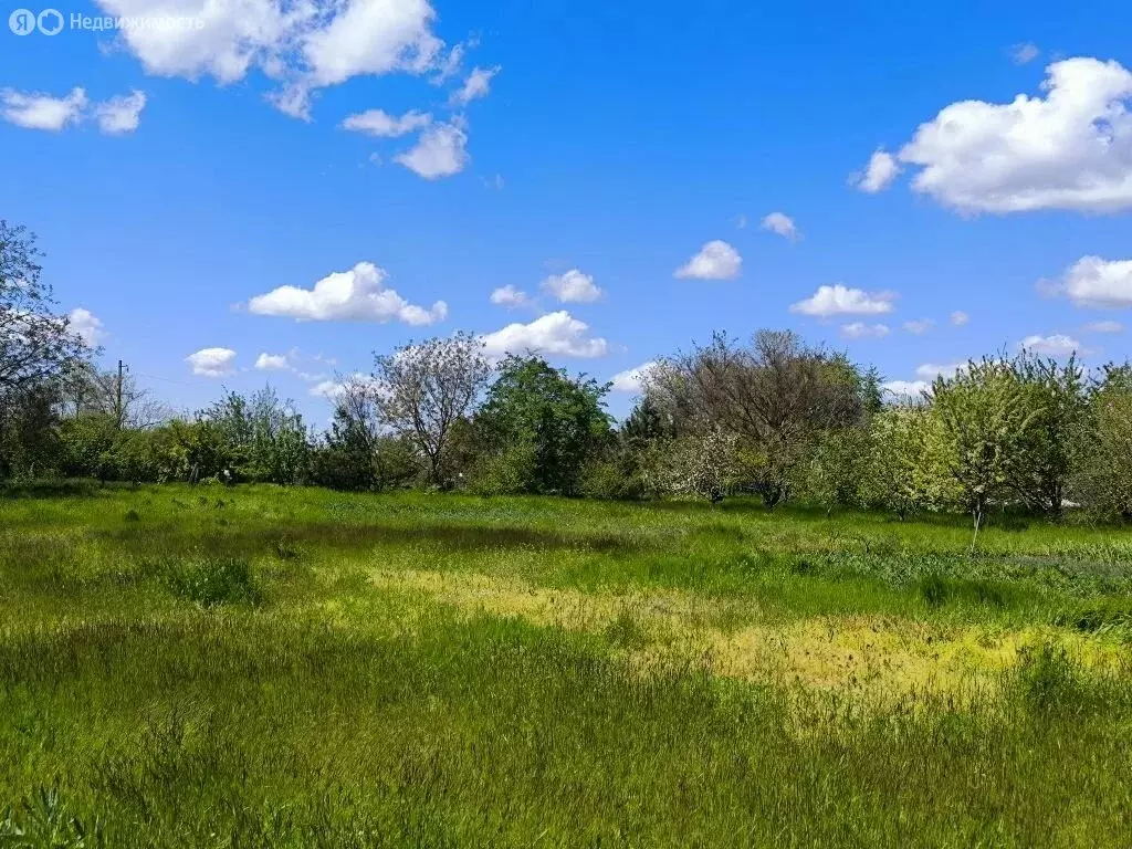 Участок в станица Новомышастовская, Красная улица, 13 (24 м) - Фото 2