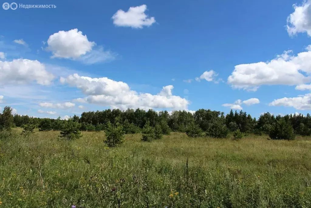 Участок в посёлок Доброград, Брусничная улица (12.65 м) - Фото 1