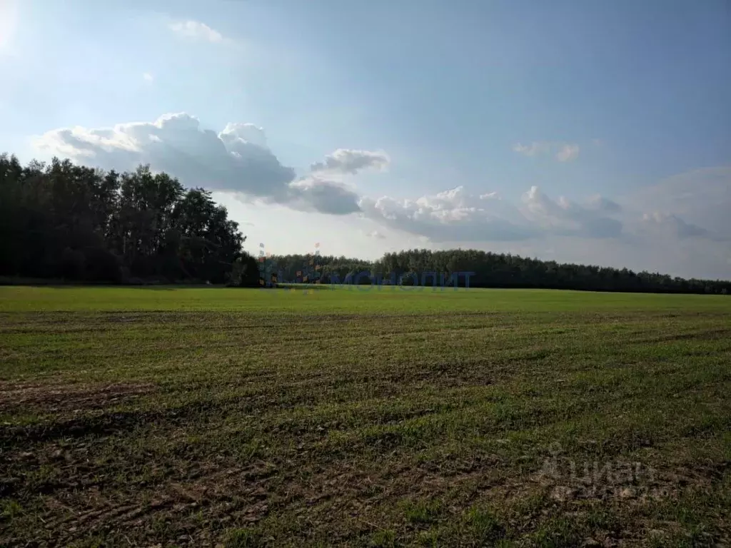 Участок в Нижегородская область, Дальнеконстантиновский муниципальный ... - Фото 2