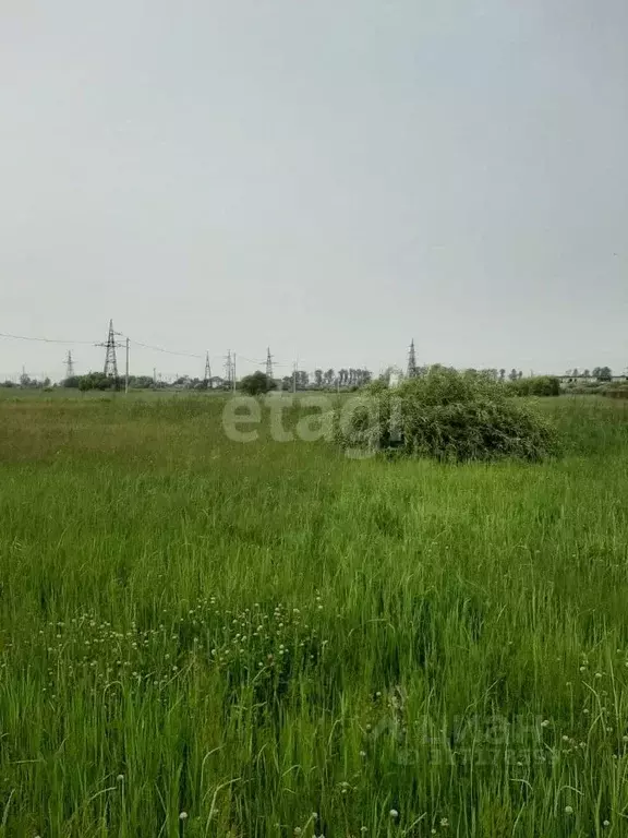 Участок в Амурская область, Благовещенский район, с. Волково  (14.0 ... - Фото 0