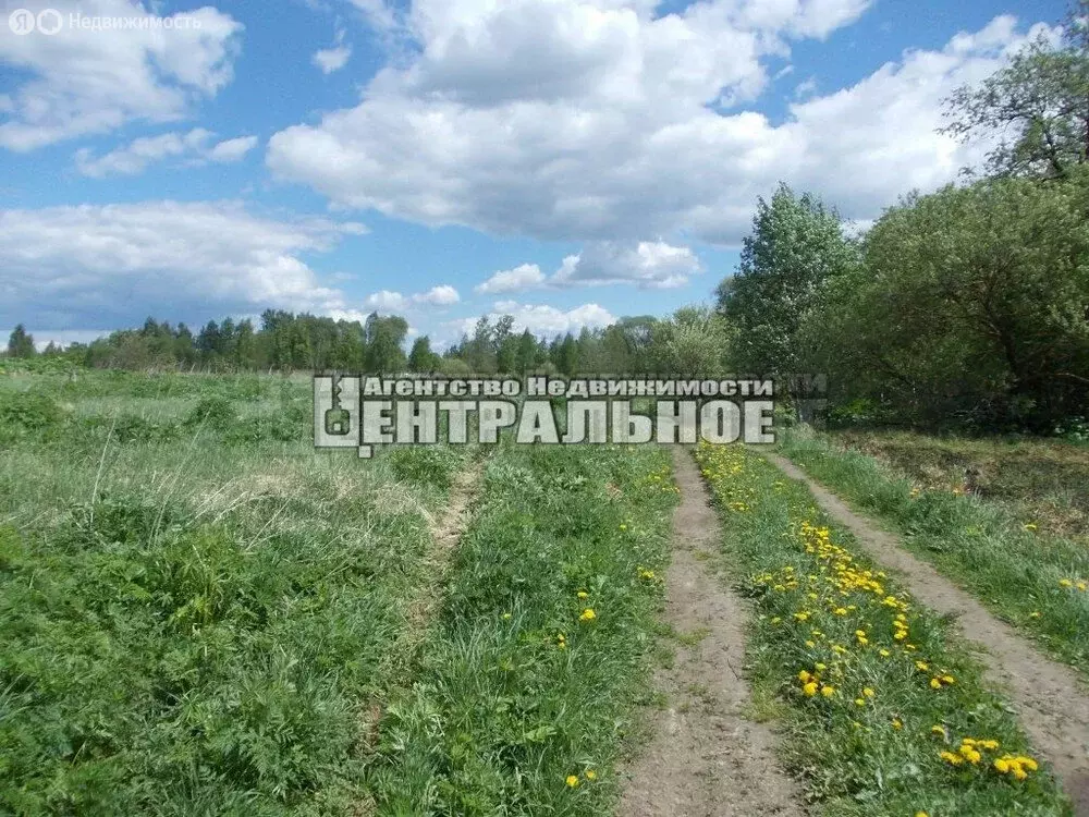 Участок в село Каспля-1, Советская улица, 1 (3.8 м) - Фото 0