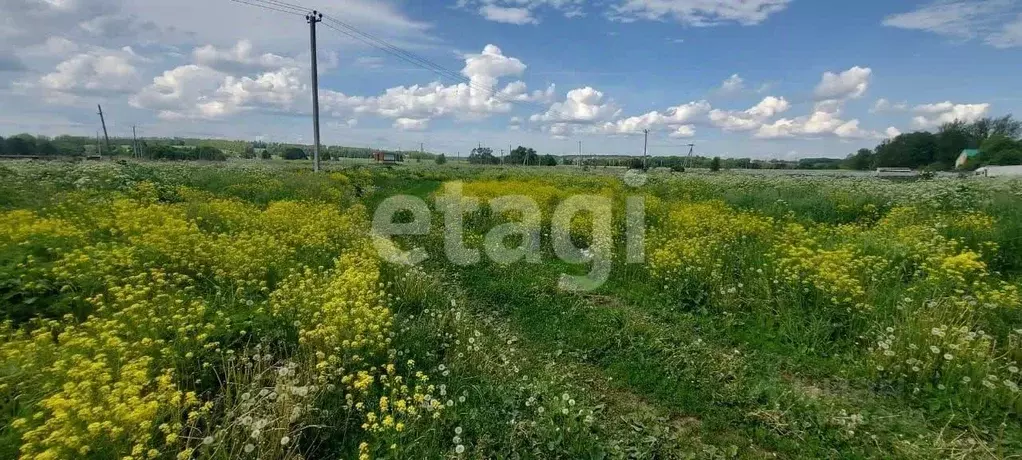 Участок в Тульская область, Тула муниципальное образование, д. Новая ... - Фото 1