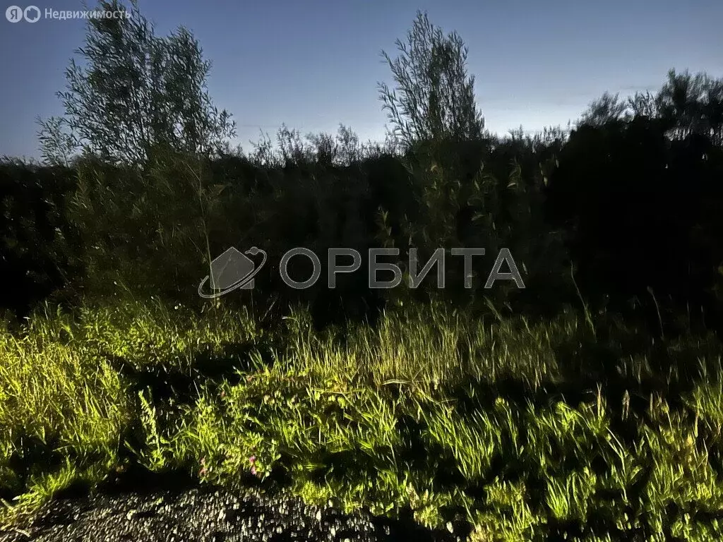Участок в Тюменский район, село Чикча (50 м) - Фото 1