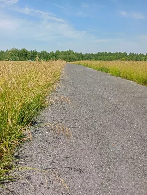Участок в Владимирская область, Судогда ул. Ошмарина (12.0 сот.) - Фото 1