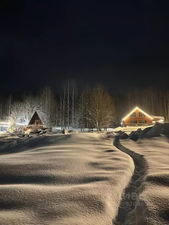 Дом в Пермский край, Губаха ул. Шварца, 64 (40 м) - Фото 2