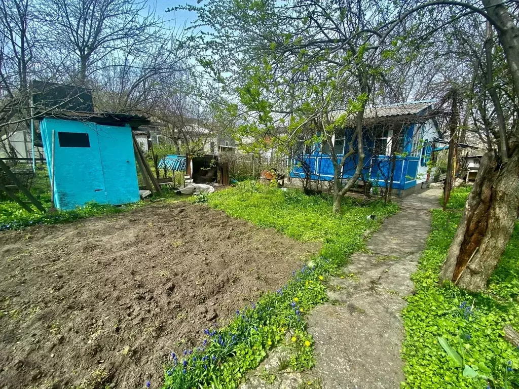 Дом в Ростовская область, Белая Калитва ул. Участок (30 м) - Фото 1