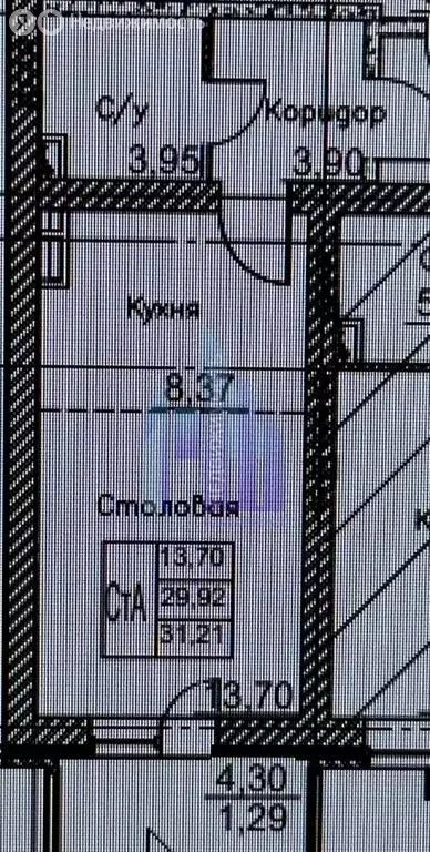 Квартира-студия: посёлок Солнечный, Кленовая улица, 1 (31.21 м) - Фото 1