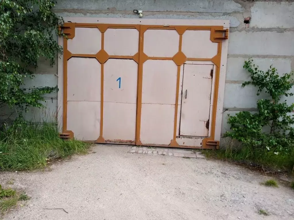 Помещение свободного назначения в Псковская область, Остров ул. ... - Фото 1