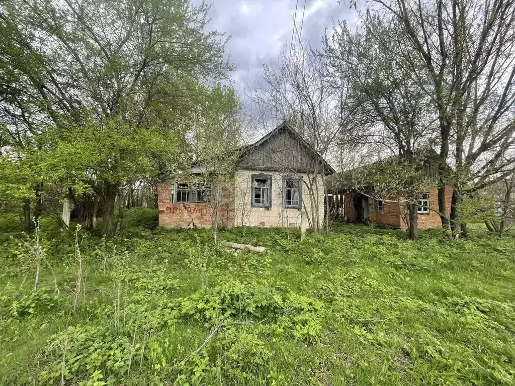 Участок в Адыгея, Майкопский район, Тимирязевское с/пос, Шунтук хут. ... - Фото 0