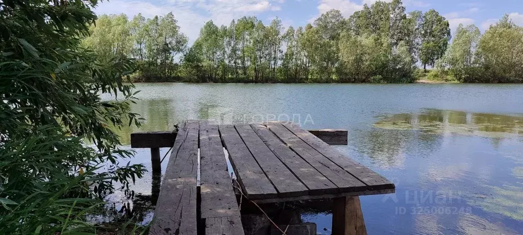 Участок в Новосибирская область, Новосибирский район, Морской ... - Фото 2