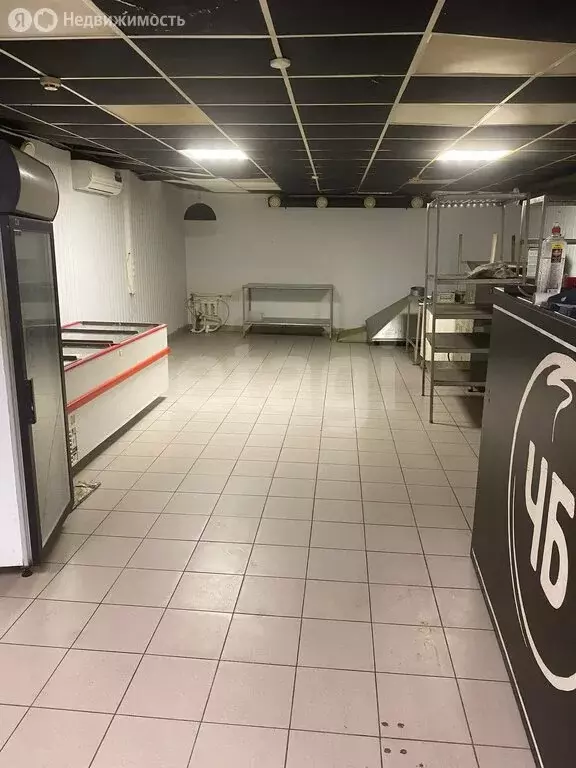 Помещение свободного назначения (253.3 м) - Фото 1