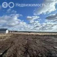 Участок в Пермский край, Осинский муниципальный округ, село Устиново ... - Фото 1