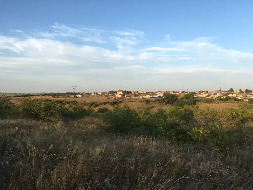 Участок в Волгоградская область, Городищенский район, Царицынское ... - Фото 2