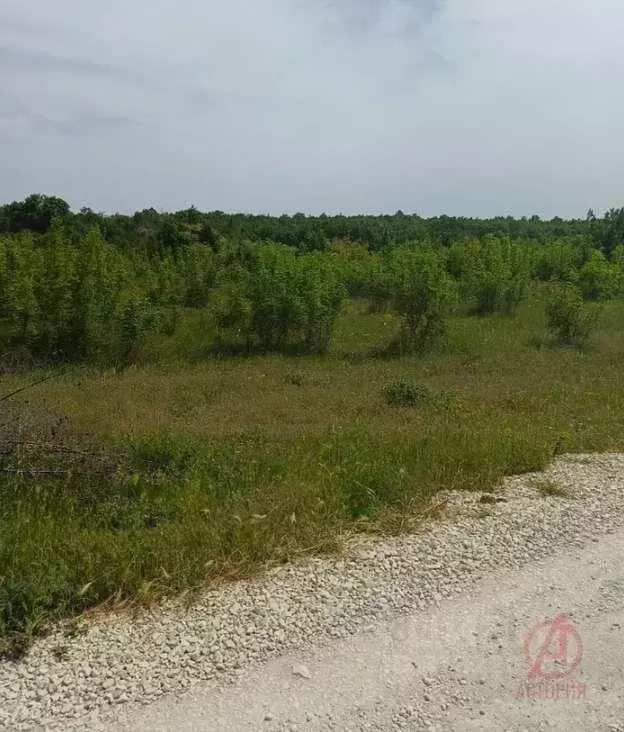 Участок, 5.3 сот., 0 - Фото 0