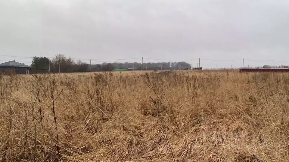 Участок в Московская область, Кашира городской округ, д. Тарасково ... - Фото 0