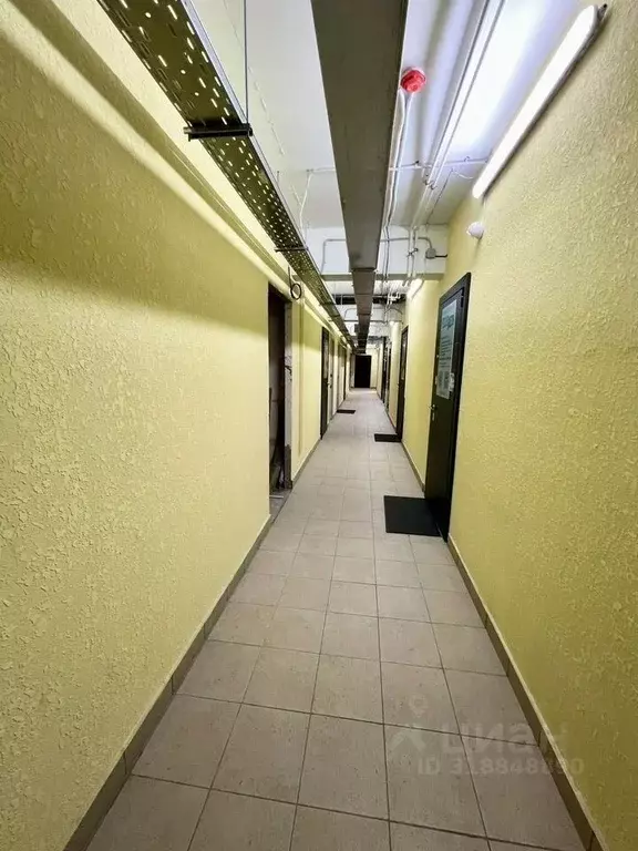 Офис в Архангельская область, Архангельск ул. Никитова, 7/2 (10 м) - Фото 0