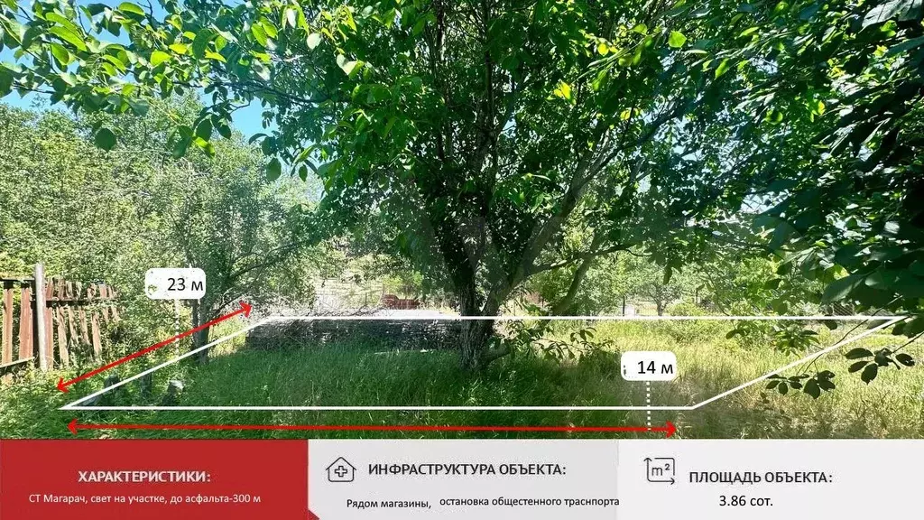 Участок 3,9 сот. (СНТ, ДНП) - Фото 0