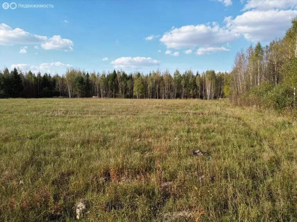 Участок в Сергиево-Посадский городской округ, деревня Смена (8 м) - Фото 1