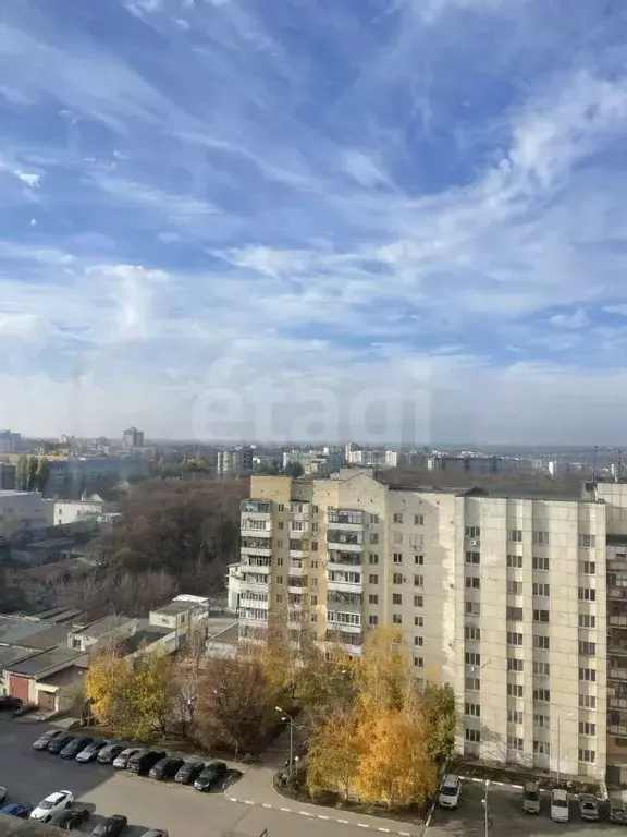 Комната Белгородская область, Белгород ул. Щорса, 16 (20.0 м) - Фото 1