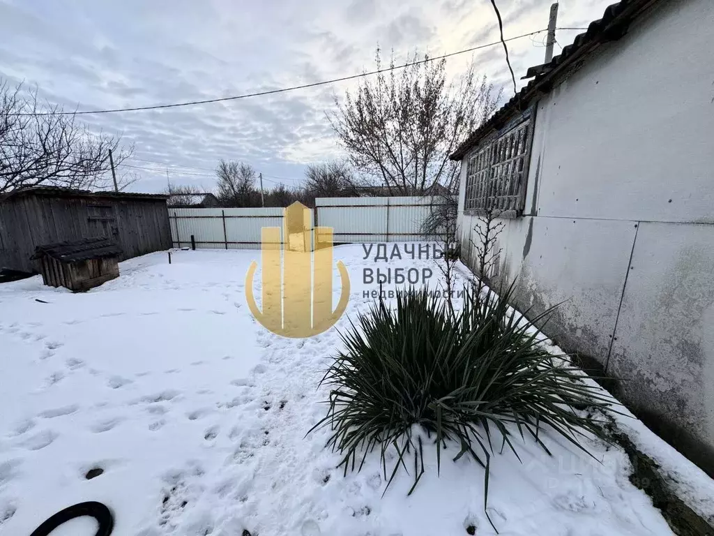 Дом в Ростовская область, Белокалитвинский район, Рудаковское с/пос, ... - Фото 2