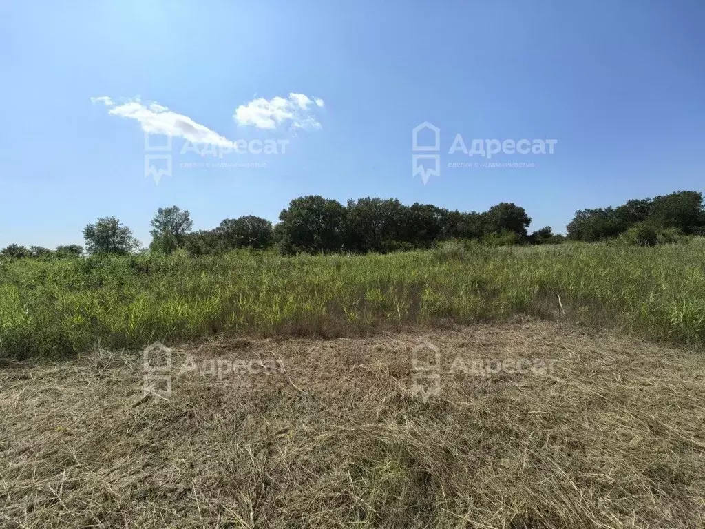 Участок в Волгоградская область, Краснослободск Среднеахтубинский ... - Фото 1