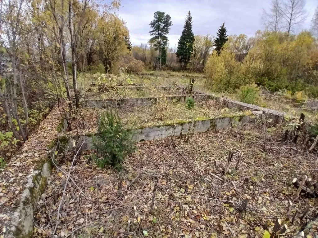 Участок в Кемеровская область, Междуреченск Разрезовская ул., 36 (20.0 ... - Фото 1
