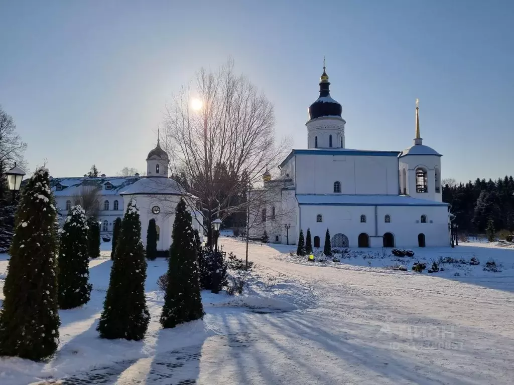 Дом в Псковская область, Псковский район, Середкинская волость, д. ... - Фото 0