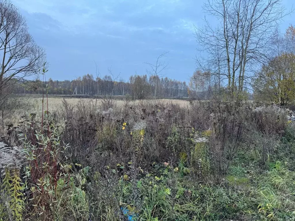 Участок в Московская область, Ногинск Богородский городской округ, ул. ... - Фото 1