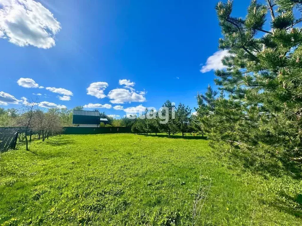 Участок в Владимирская область, Петушинский муниципальный округ, д. ... - Фото 2