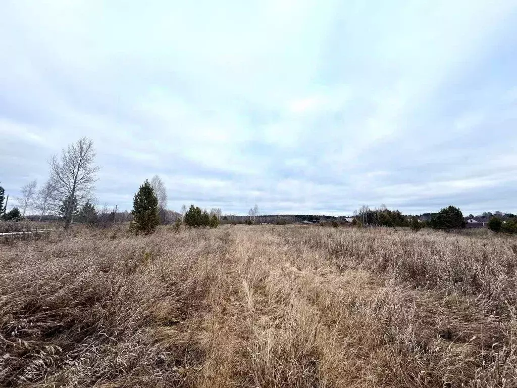 Участок в Свердловская область, Талицкий муниципальный округ, пос. ... - Фото 1